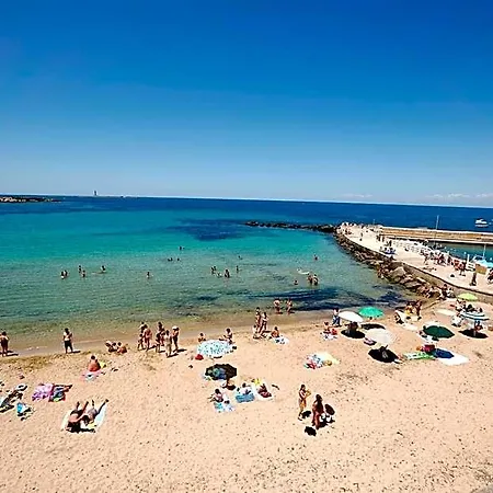 Elamar &